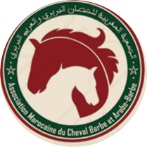Association Marocaine du Cheval Barbe et Arabe-Barbe