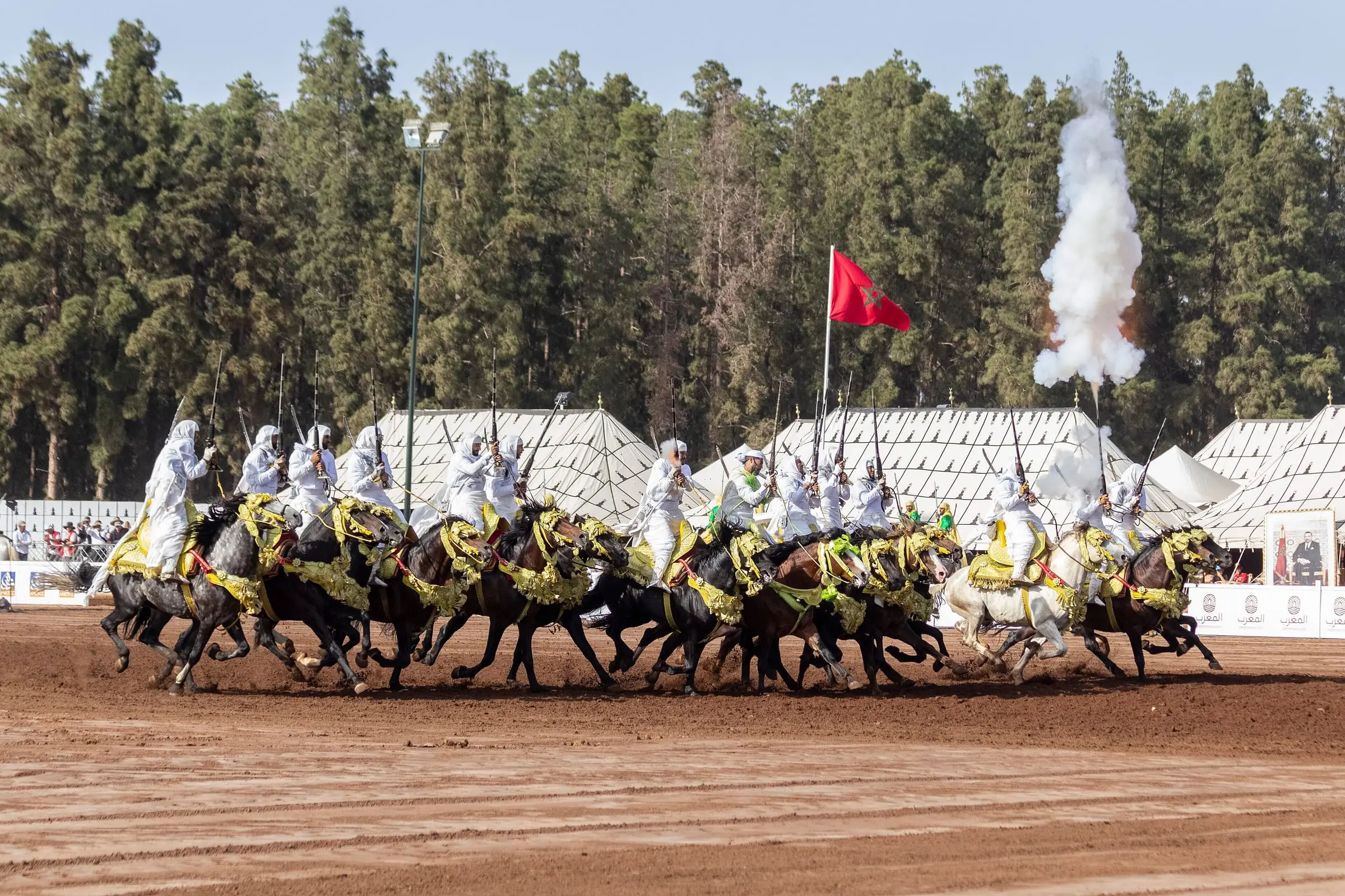 Une sorba lancée au galop : l’alignement des chevaux compte autant que la synchronisation du tir.
