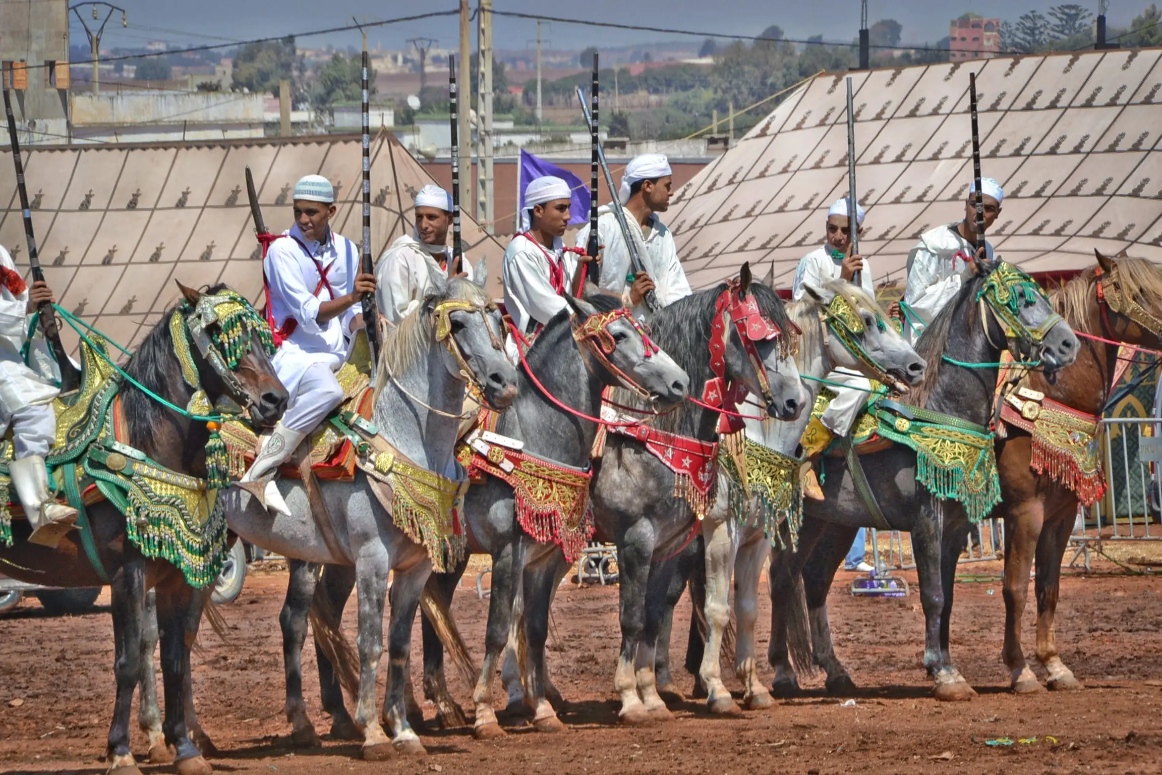 Une sorba alignée avant la charge, chevaux parés de selles et de harnachements brodés.